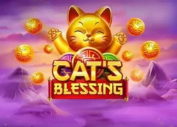 Cat’s Blessing